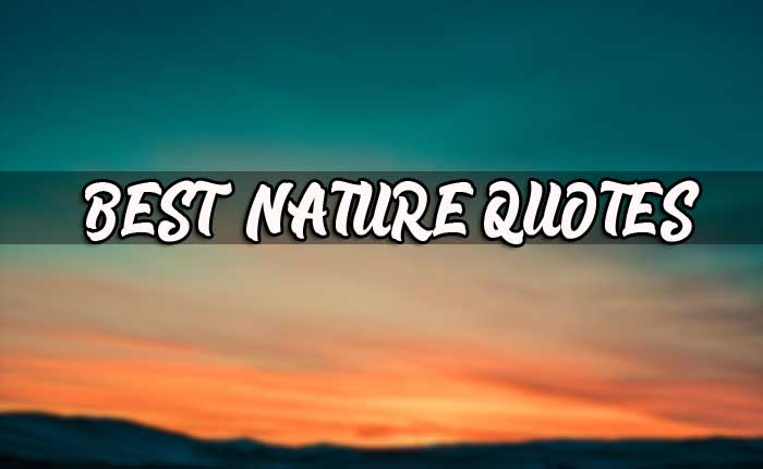 Nature-banner