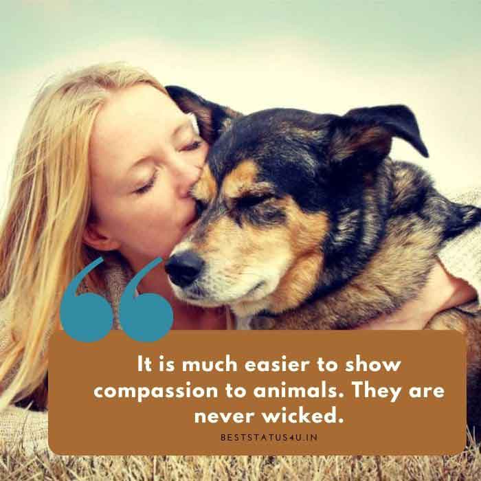 50]+ Best Animal Lover Quotes That touch your Heart [Status for Animals]