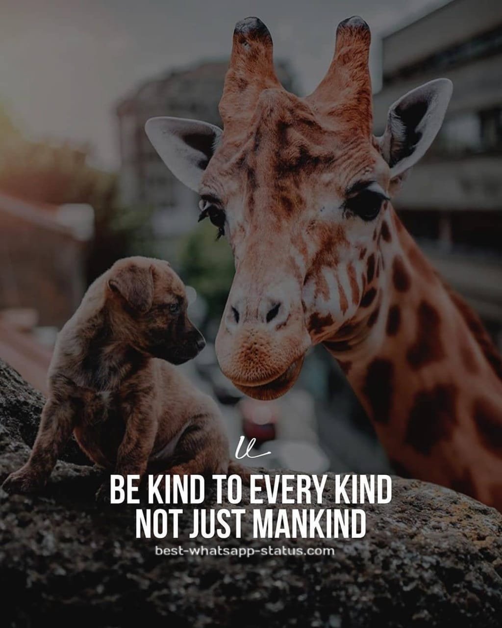 [50]+ Best Animal Lover Quotes That touch your Heart