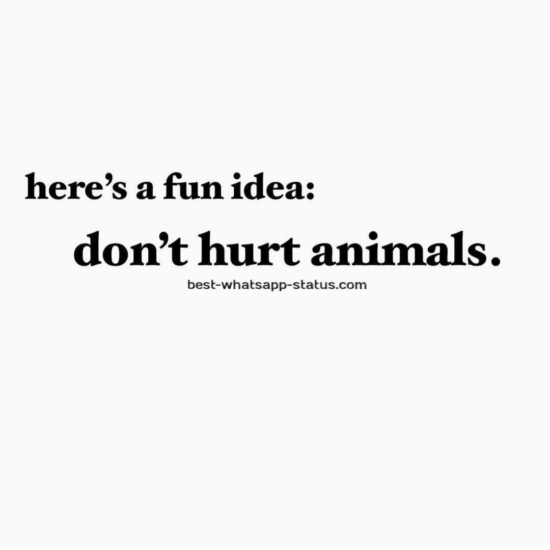 animal quotes (22)