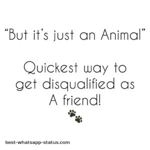 [50]+ Best Animal Lover Quotes That touch your Heart [Status for Animals]