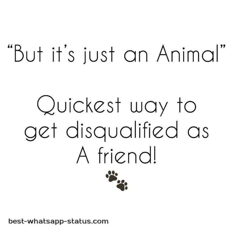 [50]+ Best Animal Lover Quotes That touch your Heart [Status for Animals]