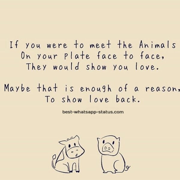 [50]+ Best Animal Lover Quotes That Touch Your Heart [Status For Animals]