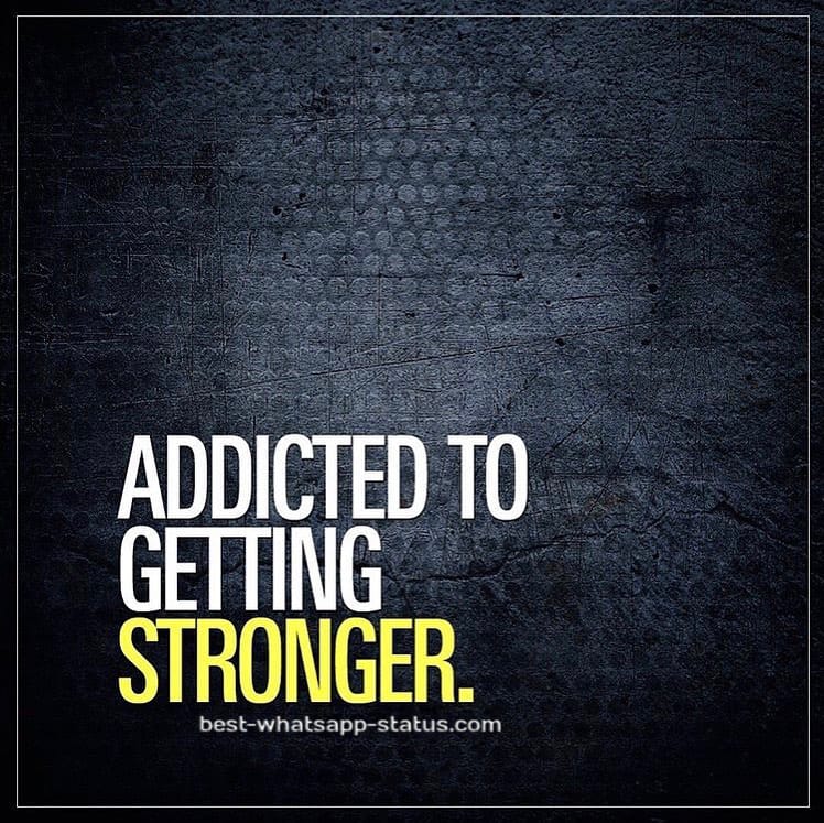 61+ Amazing Workout Quotes [Gym Motivation status] Motivational Lines