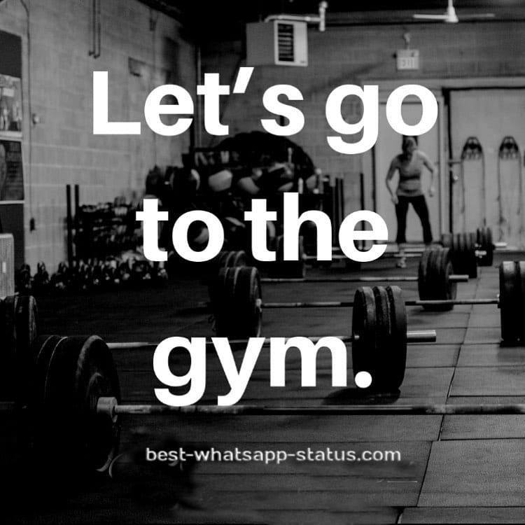 gym motivation quotes (17)