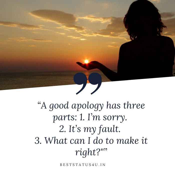 sorry-awesome-quotes (1)
