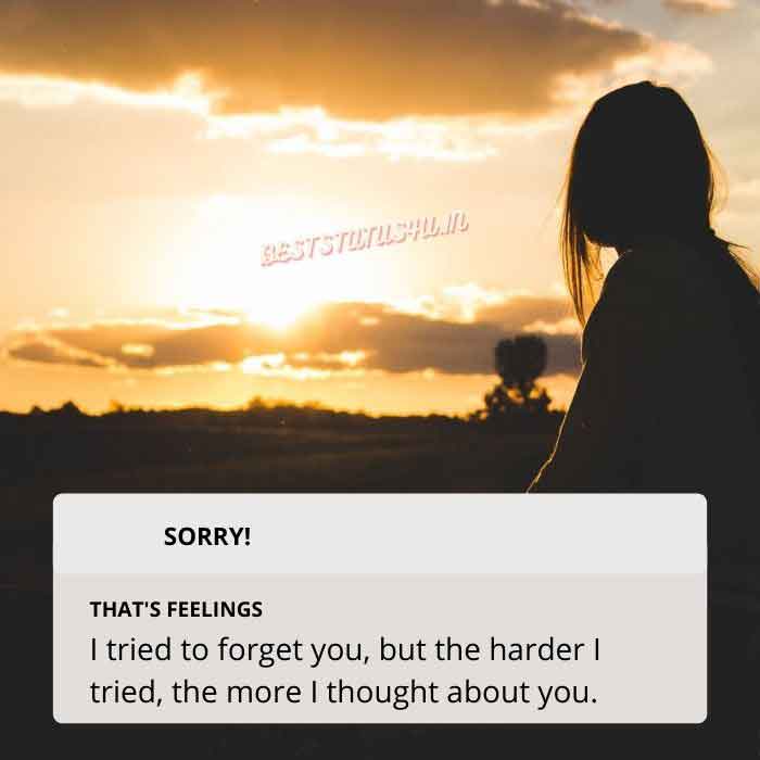 sorry-awesome-quotes (3)