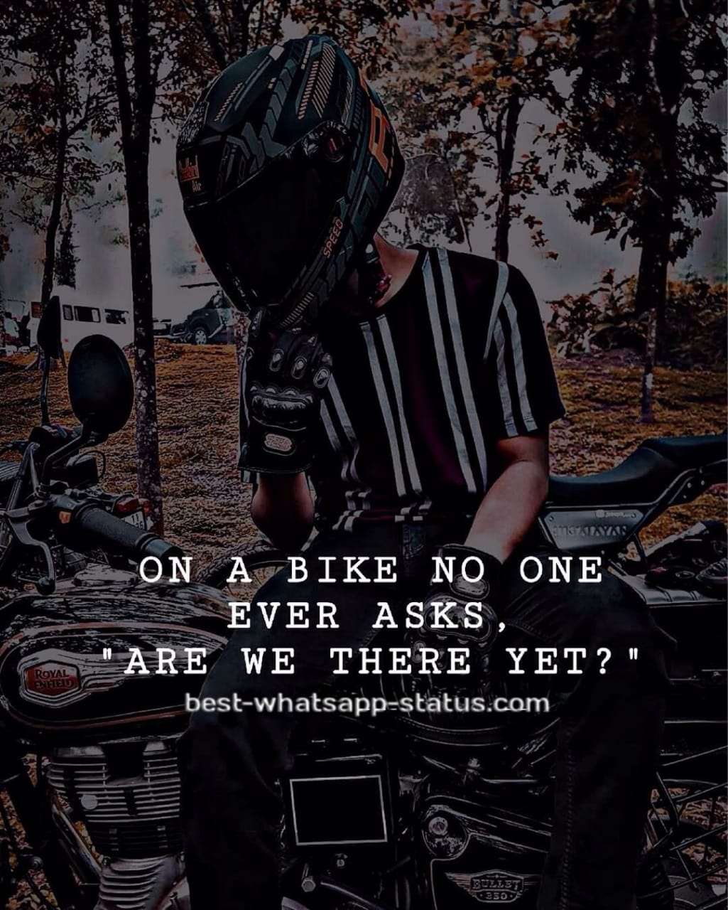 Bike lover quotes