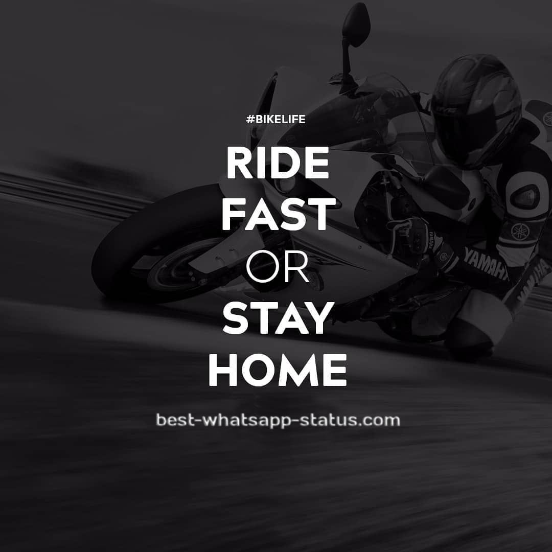 Featured image of post Male Attitude Attitude Bike Sticker Quotes / This is a wall decal quote that reads:
