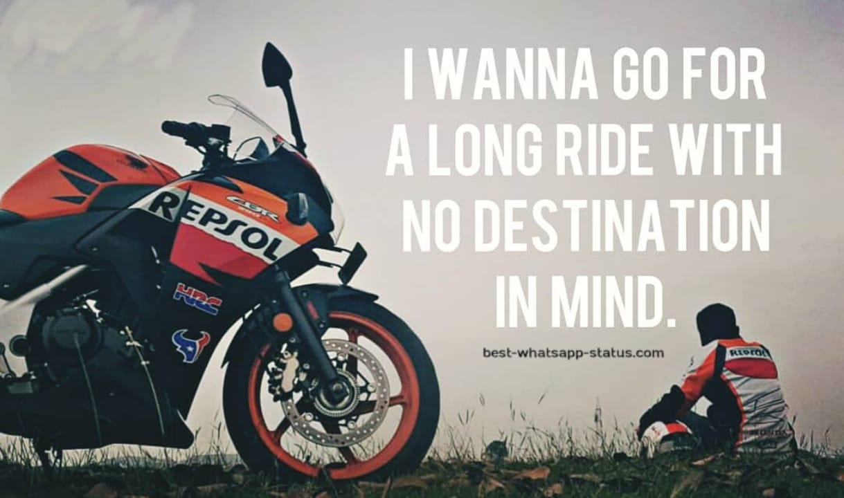 {100+} Best Quotes for Bike Lovers - Bike Lover Quotes 7