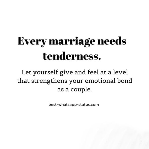 Wedding WhatsApp Status ( Awesome Newly Married Couple Quotes)