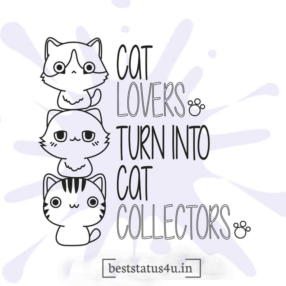 best cat adorable quotes (12)