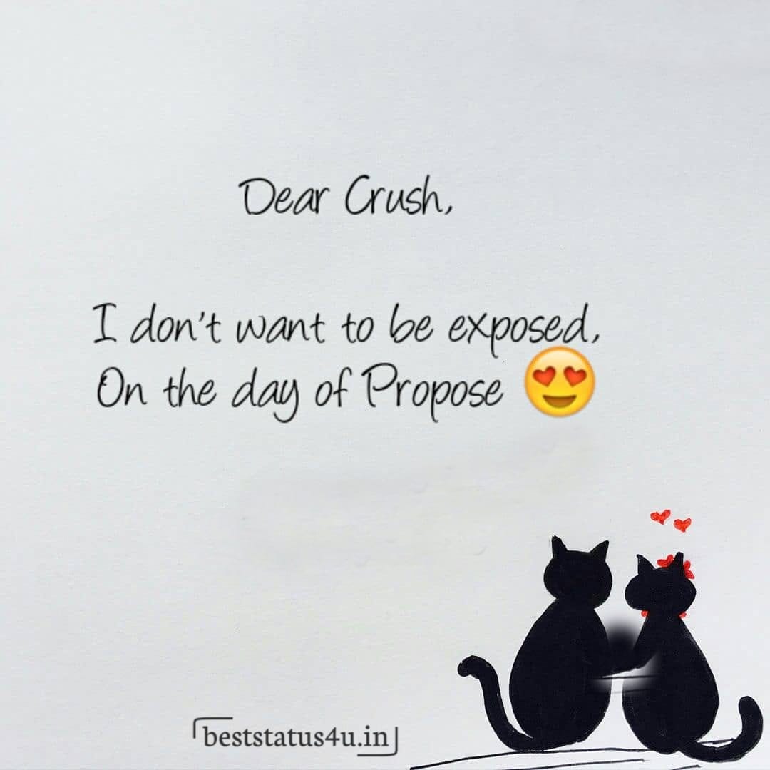 propose day awesome status(39)
