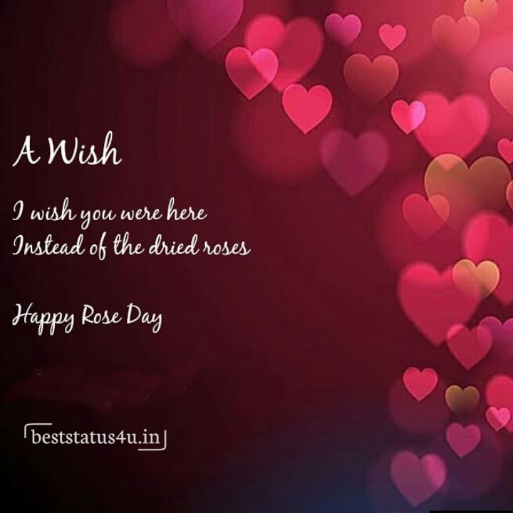 Rose day adorable quotes