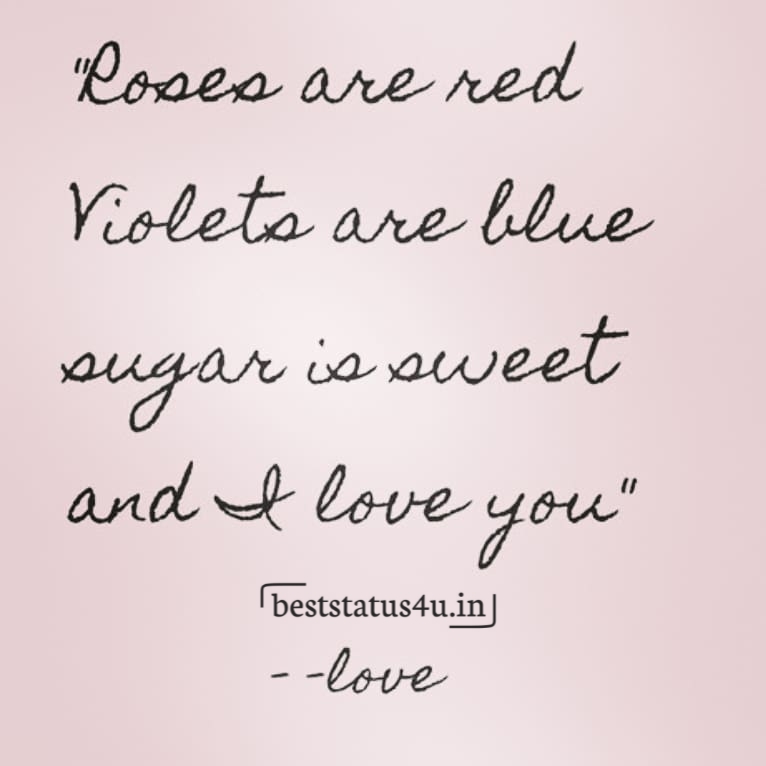 rose day adorable quotes