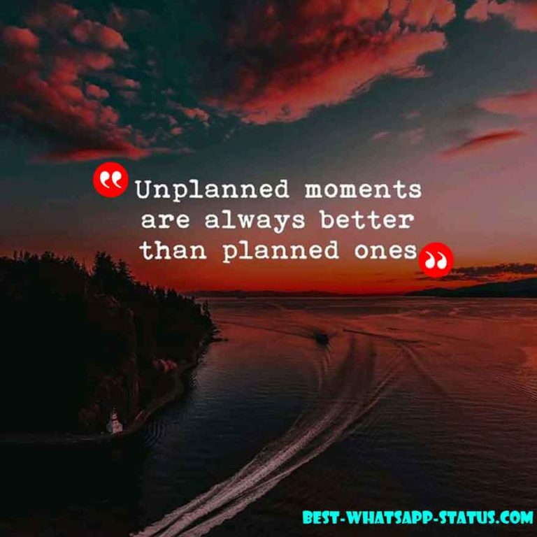 unplanned moments quotes