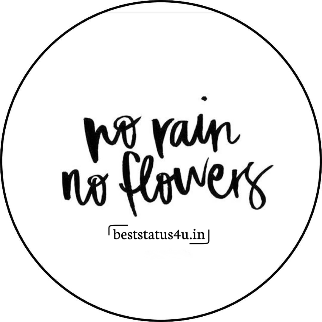 Flower best quotes (15)