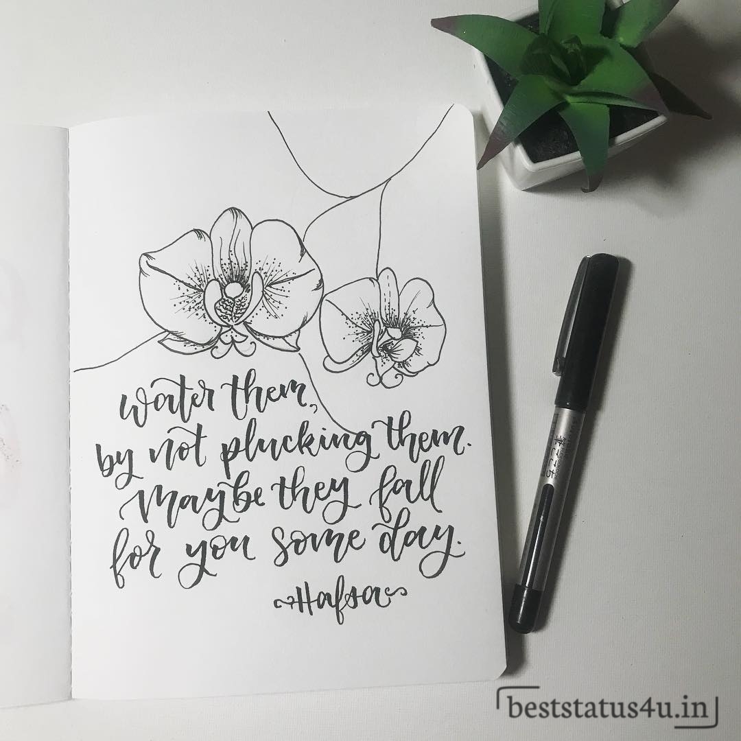 Flower best quotes (16)