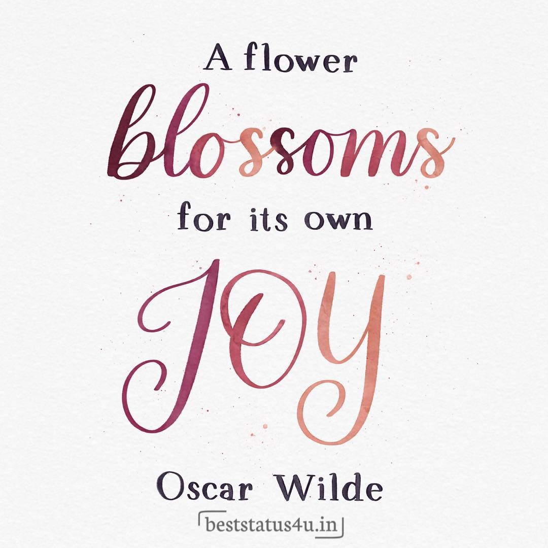Flower best quotes (19)