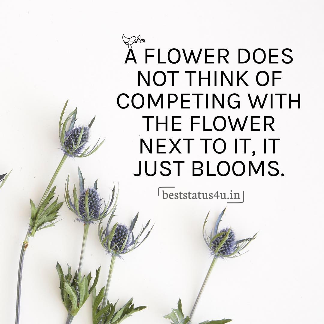Flower best quotes (20)