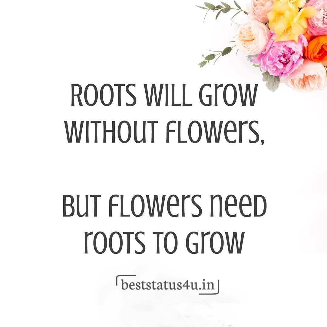 Flower best quotes (7)
