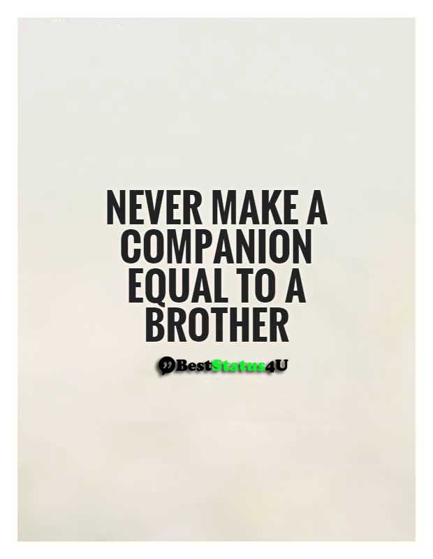 Quotes best for brotherhood (2)