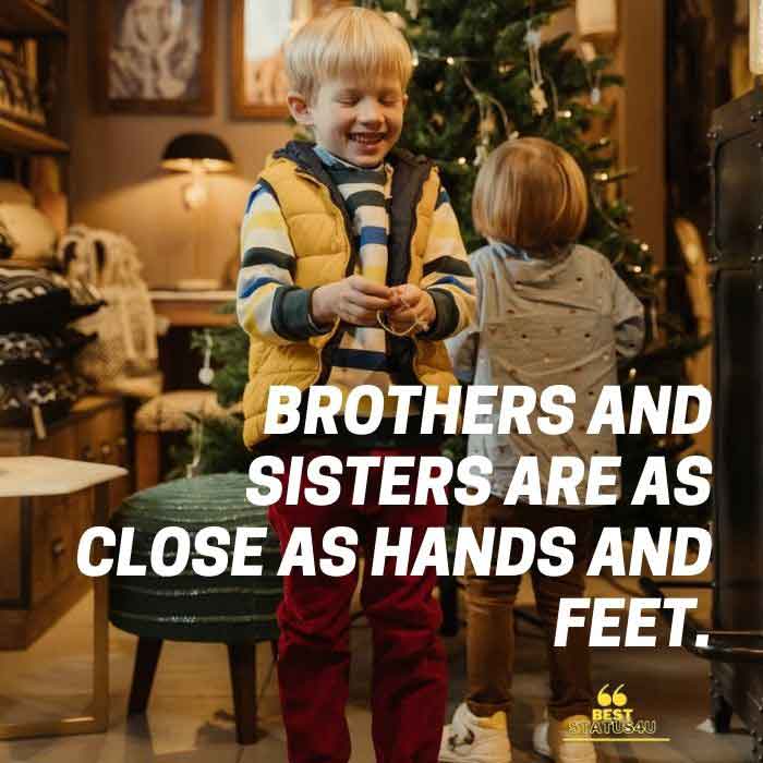 brother-best-quotes (5)