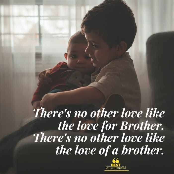 brother-best-quotes (6)