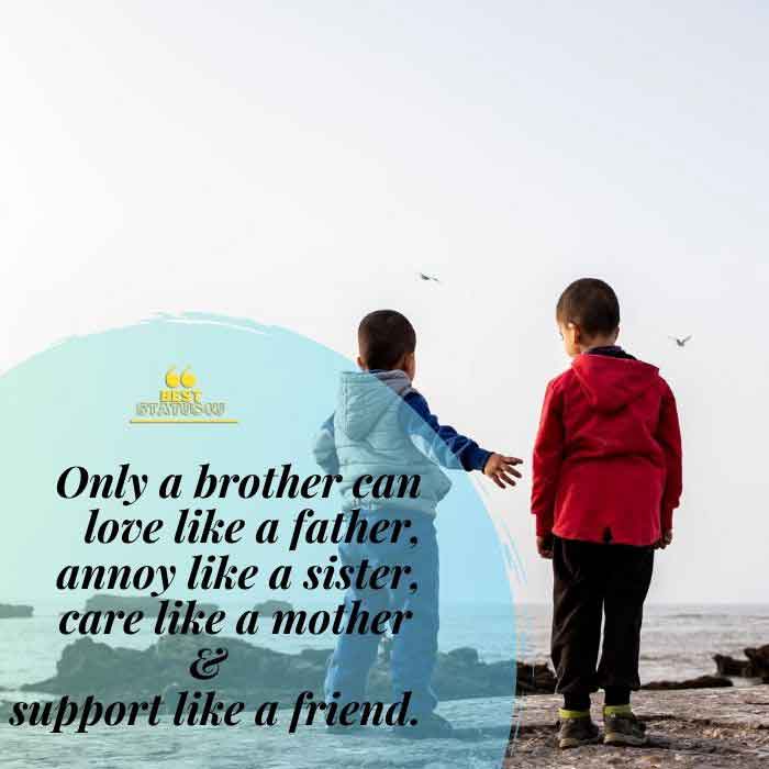 brother-best-quotes (7)