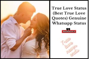 banner-of-true-love-quotes
