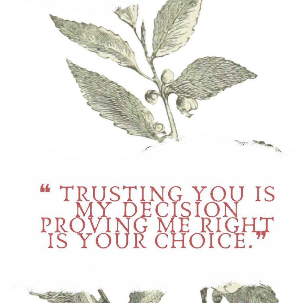 Best Trust Status (Genuine Trust Quotes) Trust Is everything! [51+]