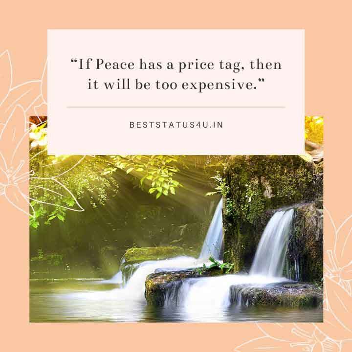 Peace Full Quotes (2)