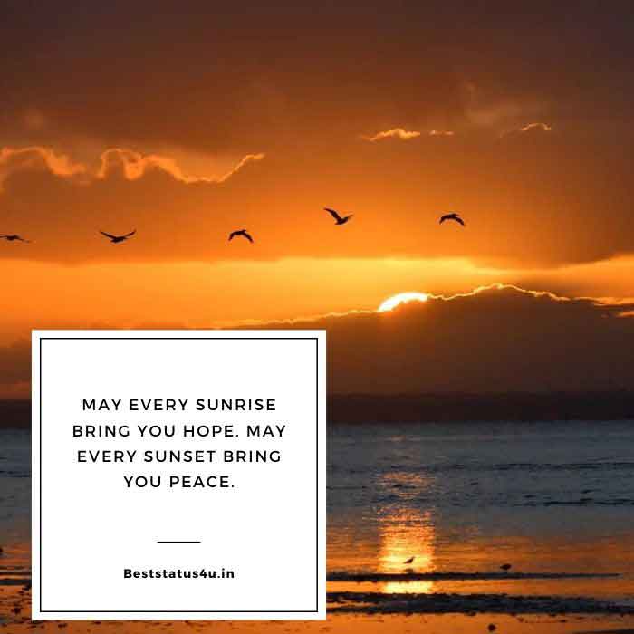 [61+] Best Sunset Quotes [Awesome Sunrise Status] Adorable Lines