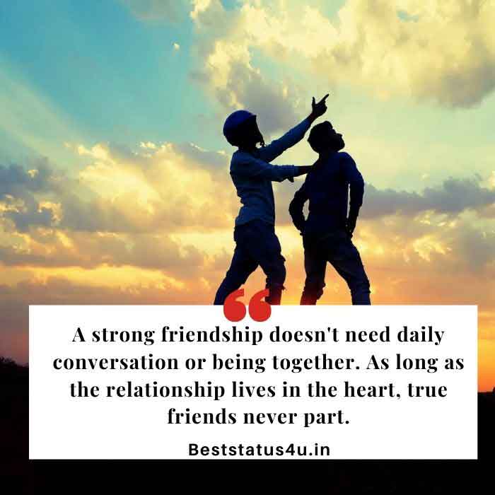 51+ Best Friendship Quotes 2021  Awesome Status & Images