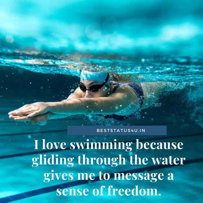 51 Best Quotes For Swimming Lovers Inspiring Swim Status