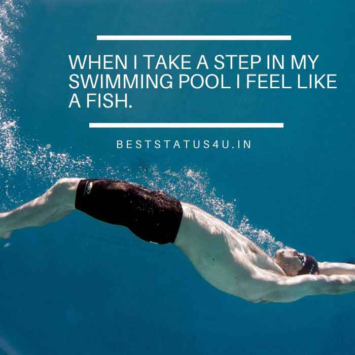 51 Best Quotes For Swimming Lovers Inspiring Swim Status