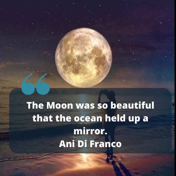 shoot for the moon quote in spanish