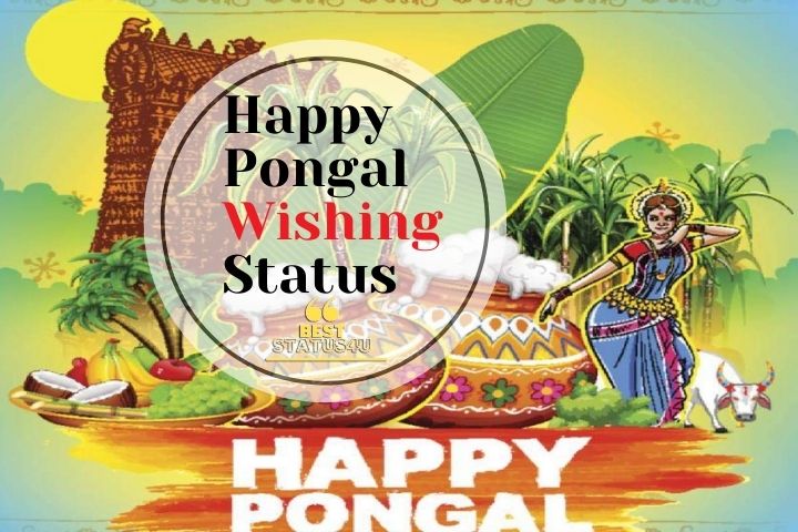 banner-happy-pongal