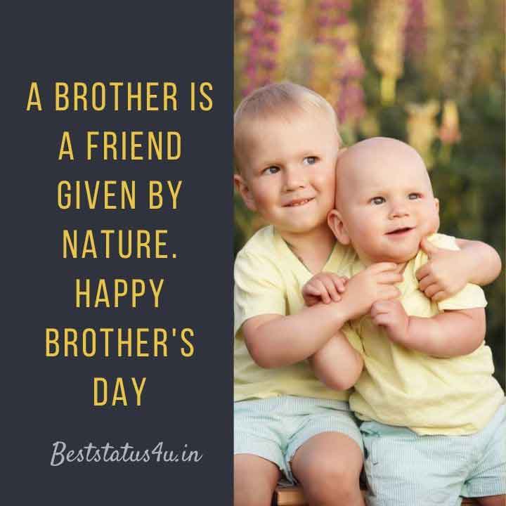 brother-best-quotes (3)