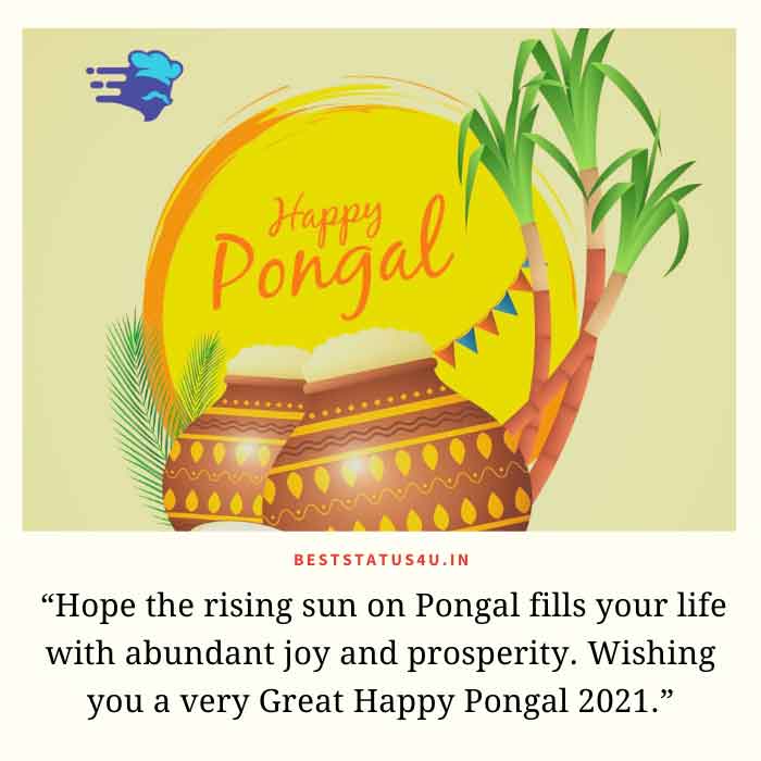 pongal-best-status (15)
