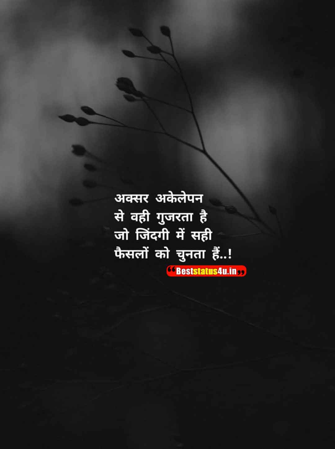 50-best-whatsapp-status-in-hindi-new-quotes-in-hindi-you-love-it