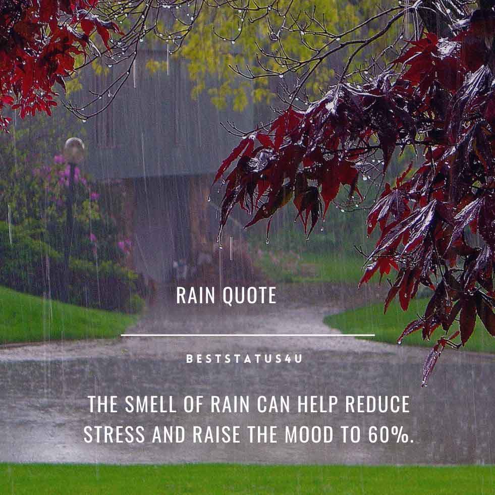 rainy daze quote