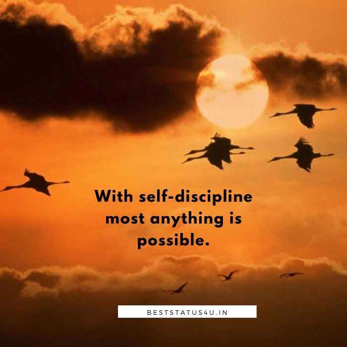Discipline best Quotes (7)
