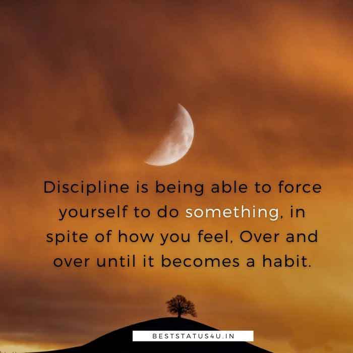 Discipline best Quotes (8)
