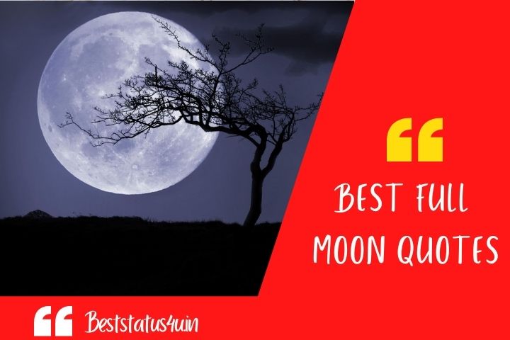 best full moon quotes