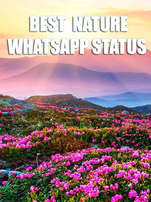 Top Nature Whatsapp Status Quotes Images